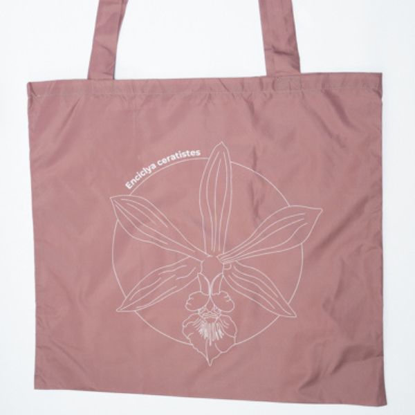 Tote Bag Plegable Beige